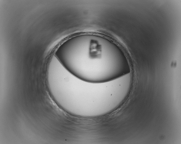 X0000115481456200911061014