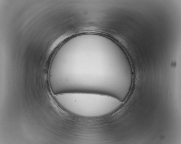 X0000115481458200911061014