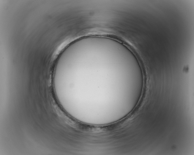 X0000115481459200911061014