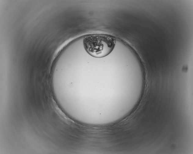 X0000115481460200911061014