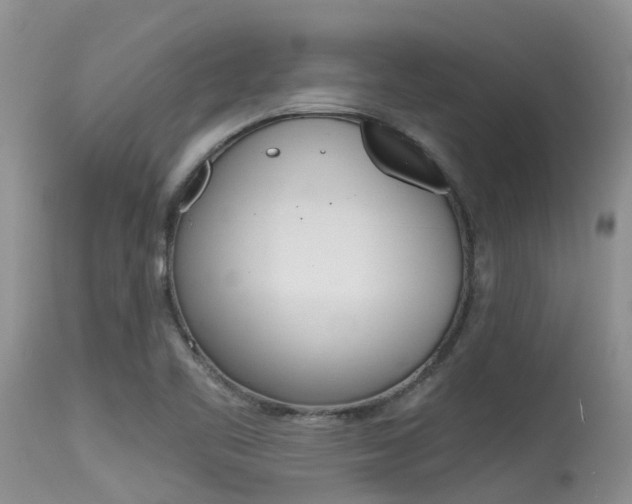 X0000115481461200911061014