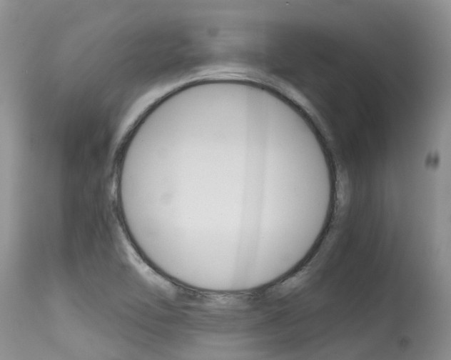 X0000115481462200911061014
