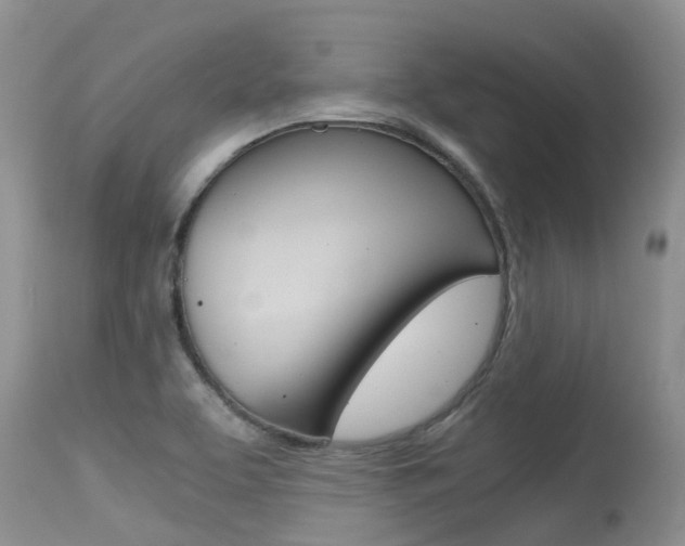 X0000115481463200911061014