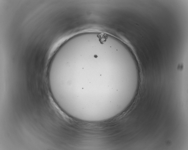 X0000115481464200911061014