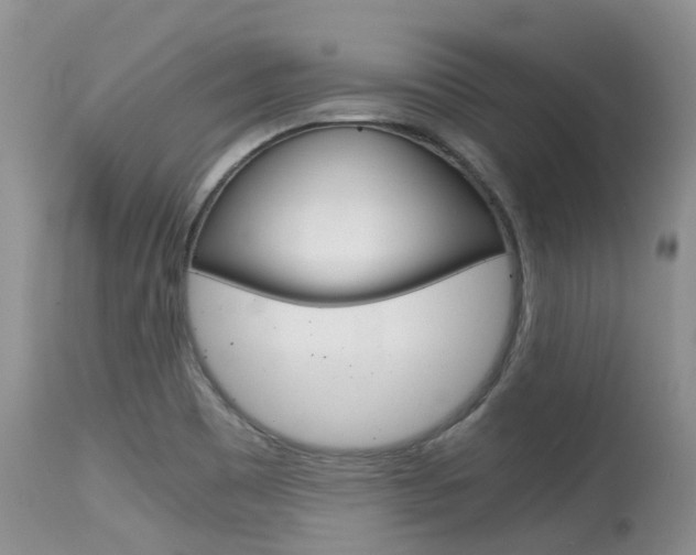 X0000115481465200911061014