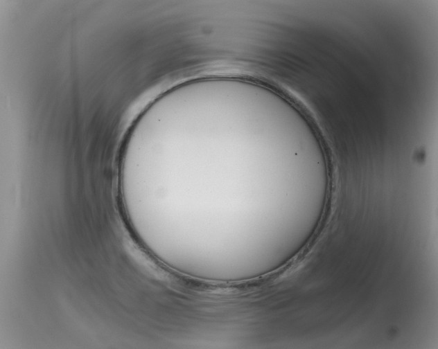 X0000115481467200911061014