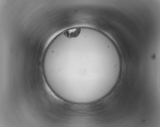 X0000115481468200911061014