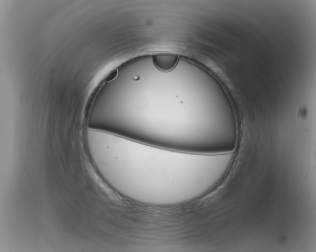 X0000115481469200911061014