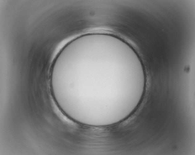 X0000115481470200911061014