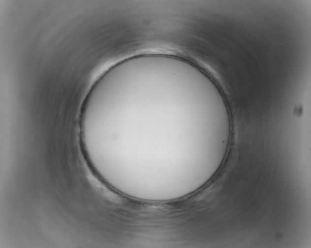 X0000115481471200911061014