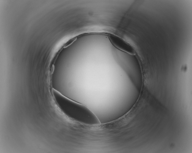 X0000115481472200911061013