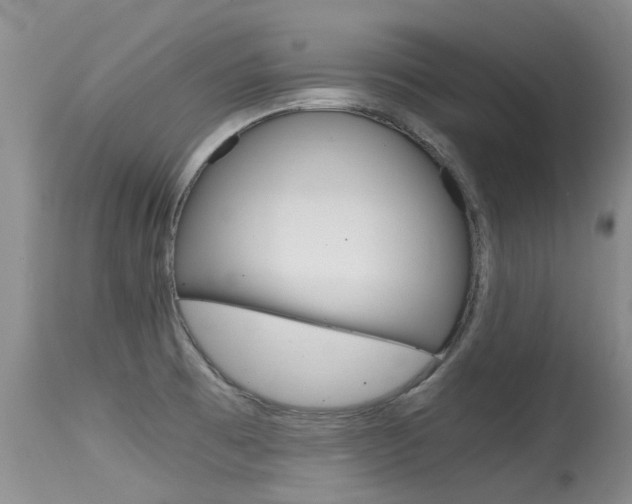 X0000115481473200911061013