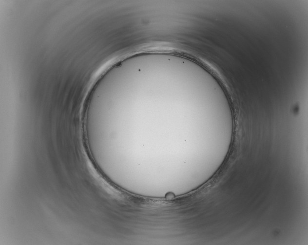 X0000115481475200911061013