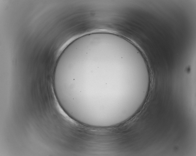 X0000115481476200911061013