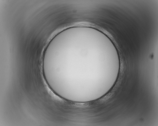 X0000115481478200911061013