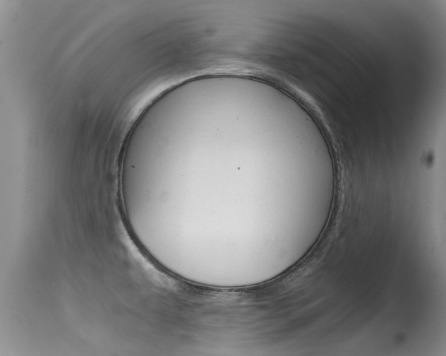 X0000115481479200911061013