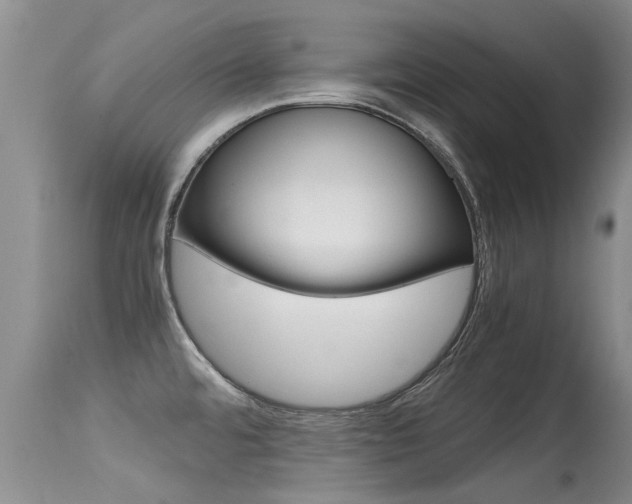 X0000115481480200911061013