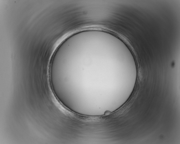 X0000115481482200911061013