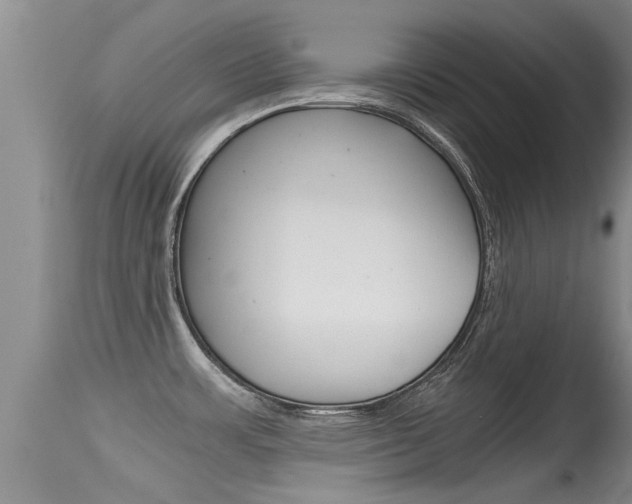 X0000115481483200911061013