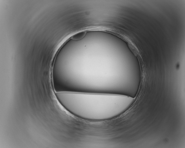 X0000115481484200911061013