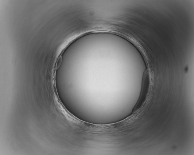X0000115481485200911061013