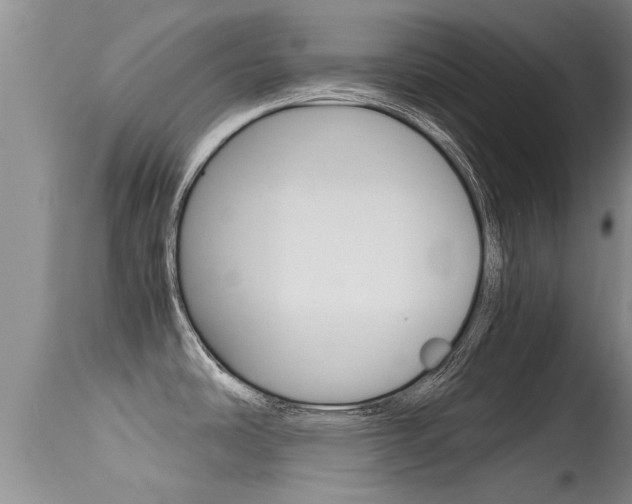 X0000115481486200911061013