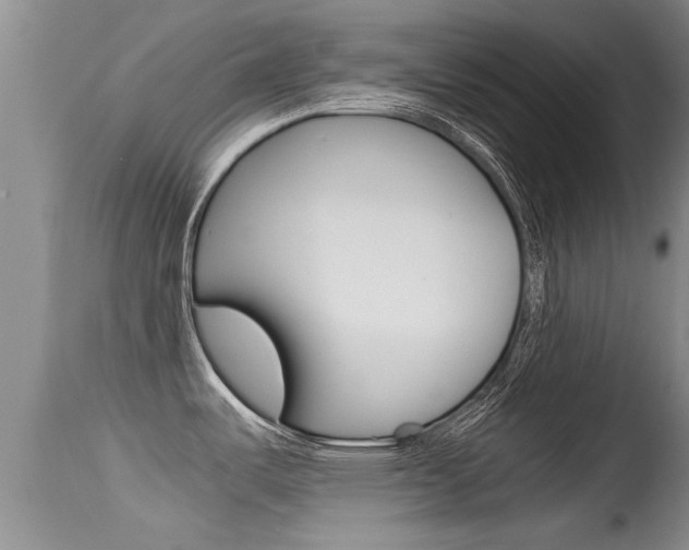 X0000115481487200911061013
