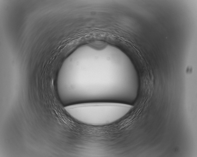 X0000115481489200911061013