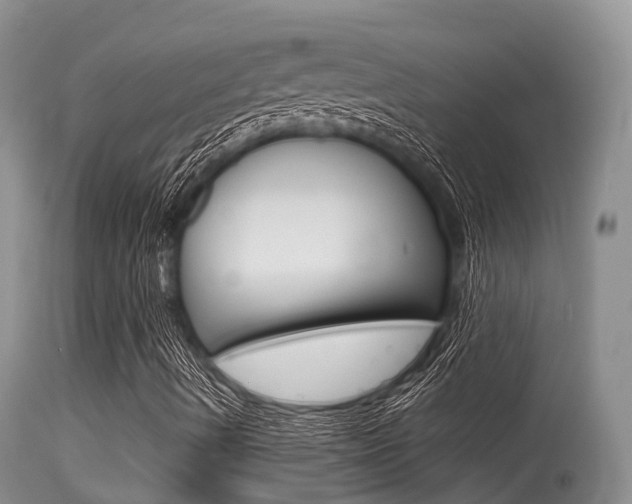 X0000115481490200911061013