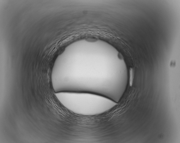 X0000115481491200911061013