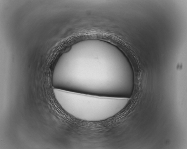 X0000115481493200911061013