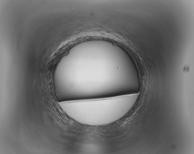 X0000115481494200911061013