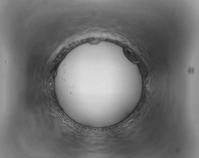 X0000115481495200911061013