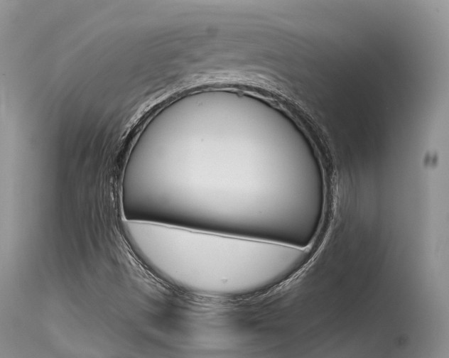 X0000115481497200911061013