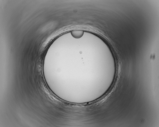 X0000115481498200911061013