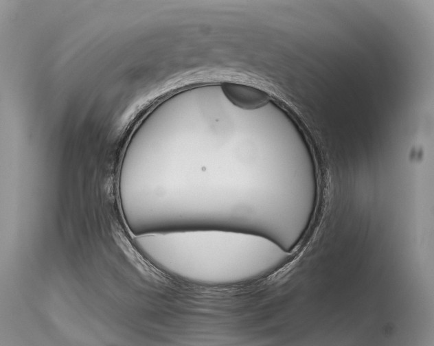 X0000115481499200911061013