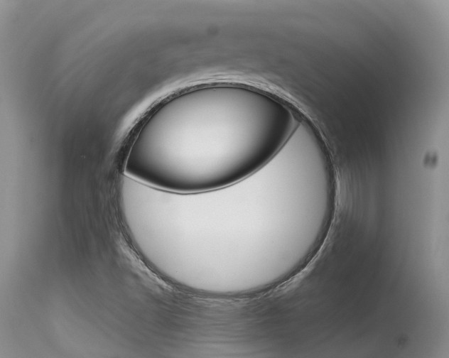 X0000115481502200911061013
