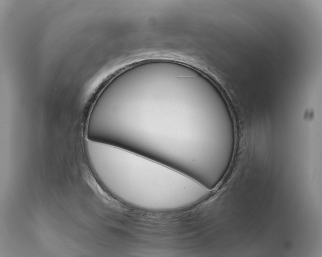 X0000115481503200911061013