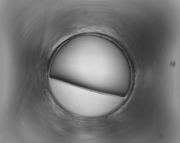 X0000115481505200911061013