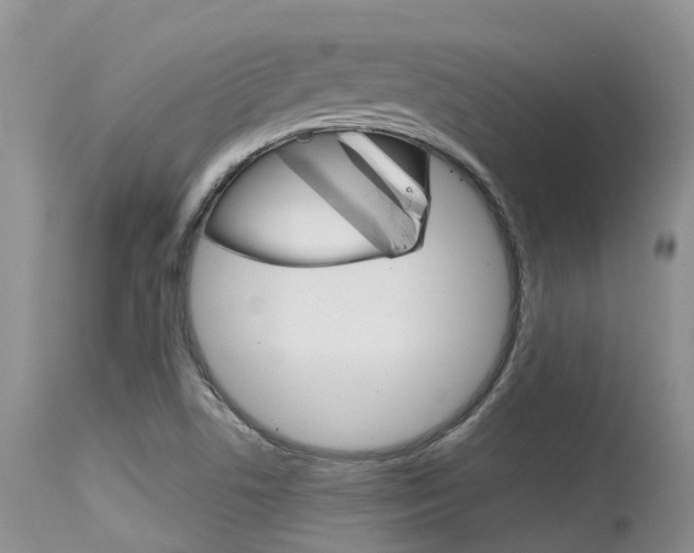 X0000115481506200911061013