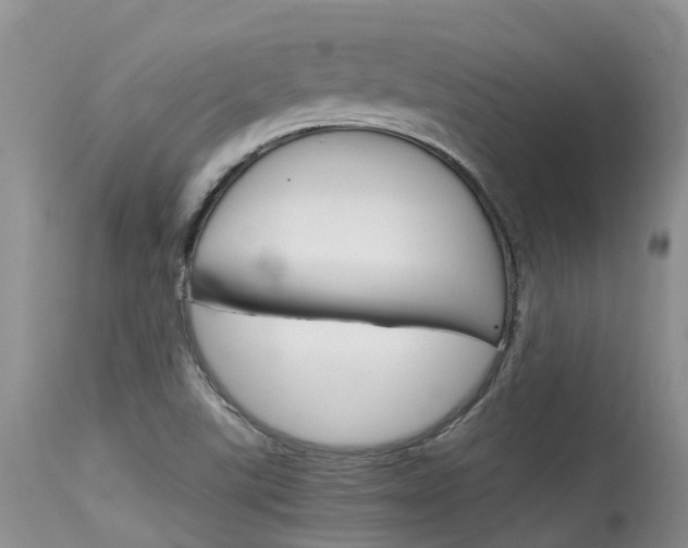 X0000115481507200911061013