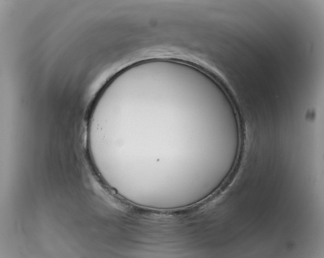 X0000115481509200911061013