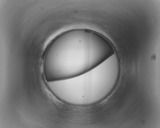 X0000115481510200911061013