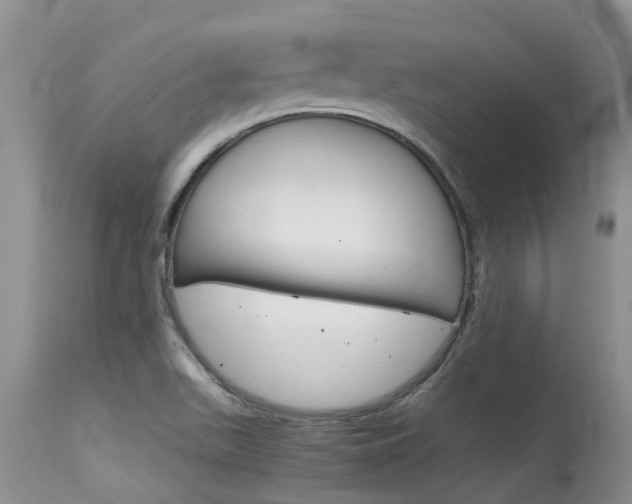 X0000115481511200911061013