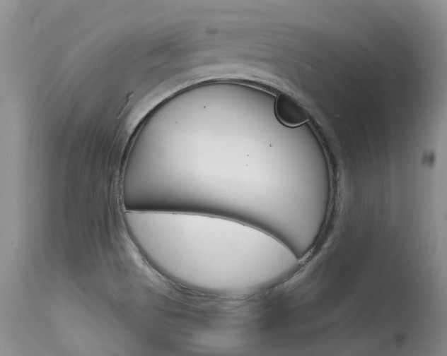 X0000115481513200911061013