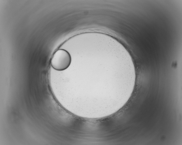 X0000115481514200911061013