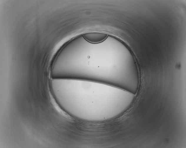 X0000115481515200911061013