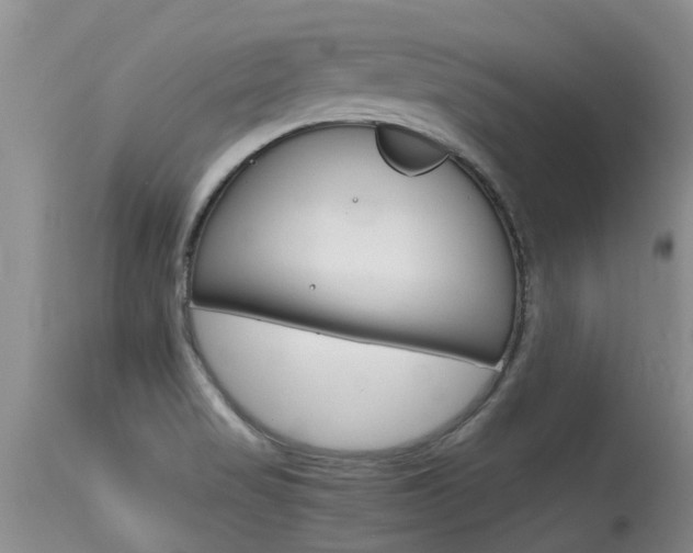 X0000115481517200911061013