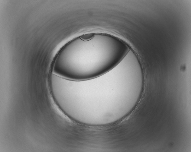 X0000115481518200911061013
