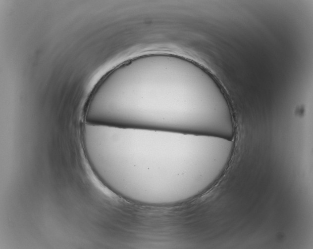 X0000115481519200911061013